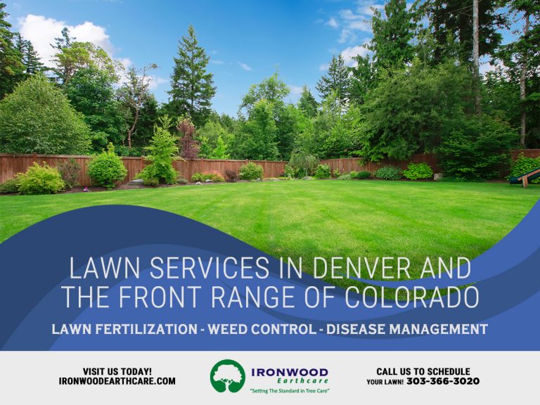 Denver Lawn Services Ironwood