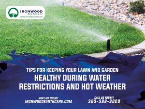 IW Summer Heat and Watering Schedules