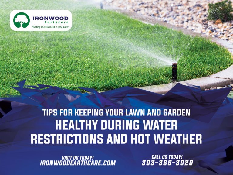 IW Summer Heat and Watering Schedules