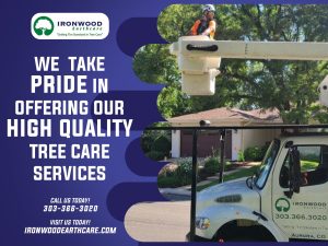 Ironwood Earthcare High Quality Tree Services Blog Graphic